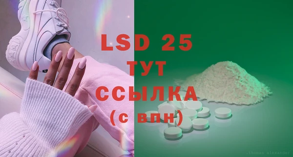 ПСИЛОЦИБИНОВЫЕ ГРИБЫ Тутаев