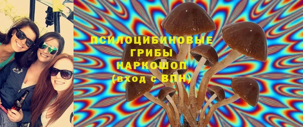 гидра Аркадак