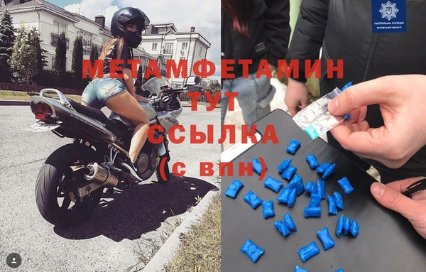 прущие грибы Армянск