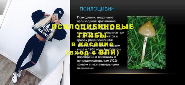 гидра Аркадак